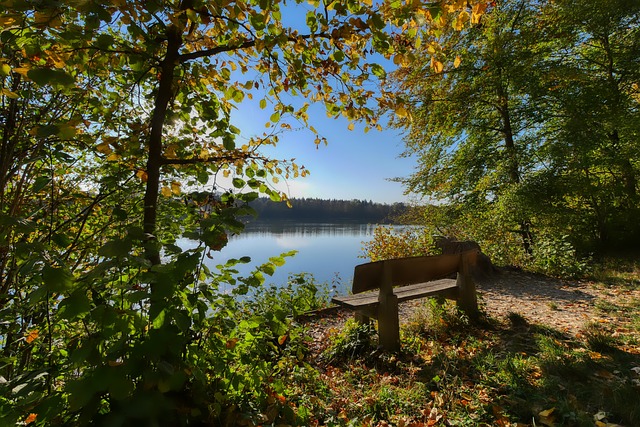 球队的主教 球队的主教