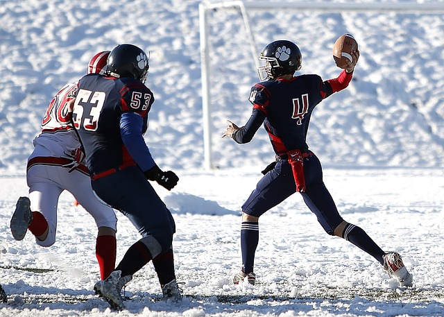 易建联的探 易建联的探