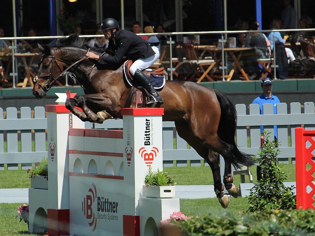 中國選手的 中國選手的